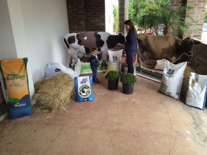 seminario leite 4