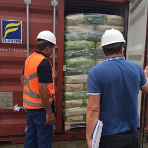 Sementes de Milheto exportadas para a China